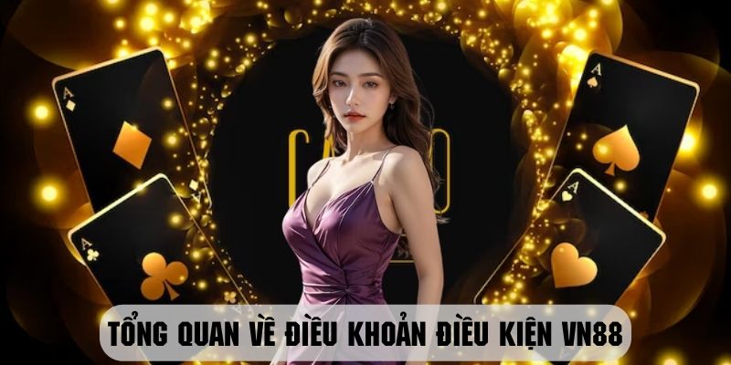 Giới thiệu chung về điều khoản điều kiện tại sân chơi VN88